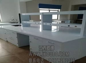 上海湖南實驗臺